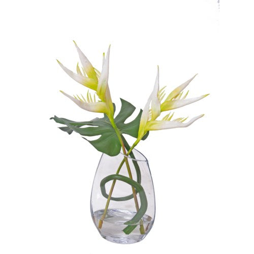 Parrot Heliconia in a Glass Vase