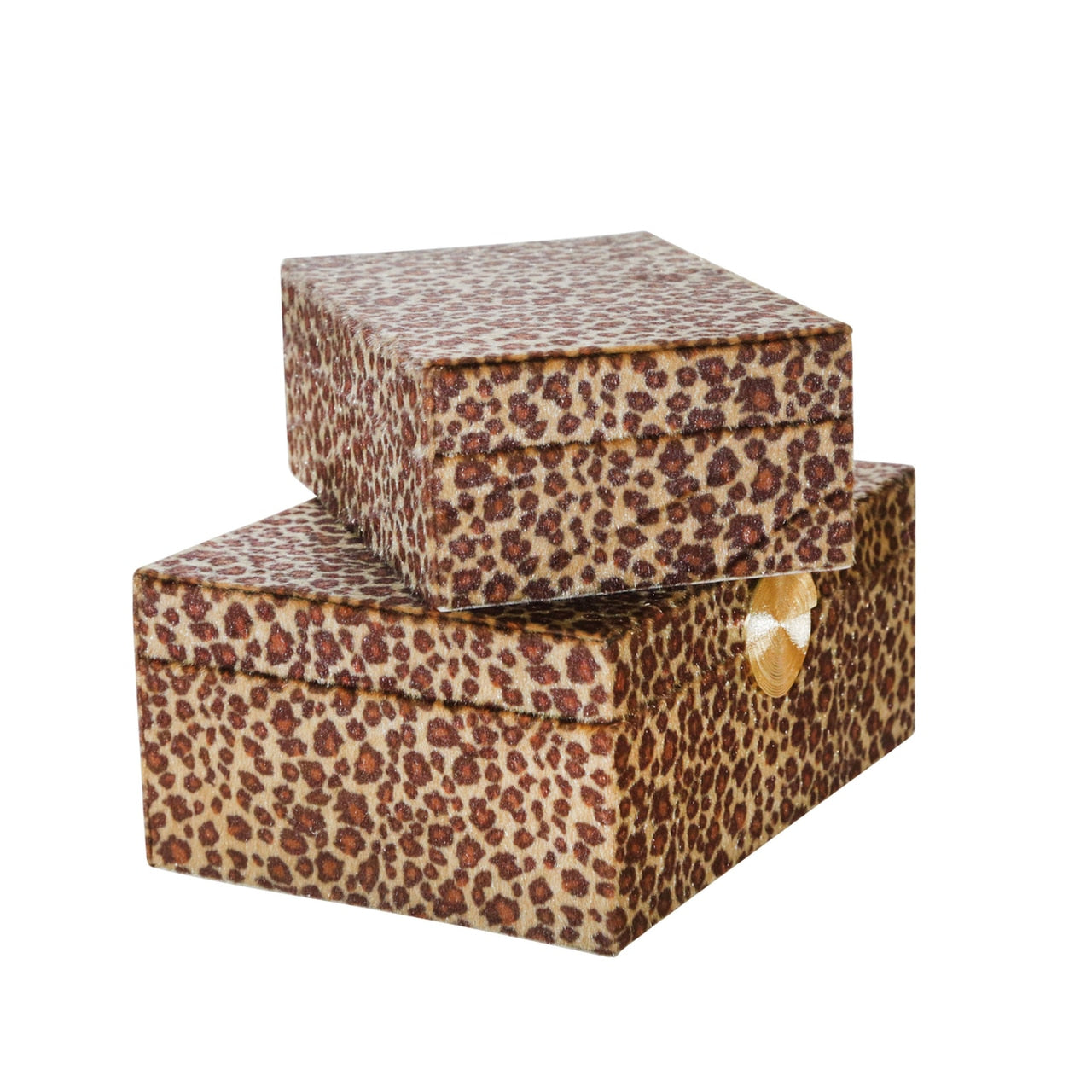 Velveteen Leopard Box - 2 sizes available – Theory Design Studio