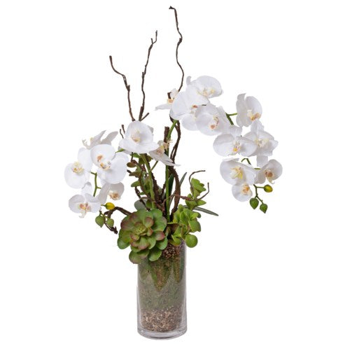 Glass Vase of Orchids & Moss