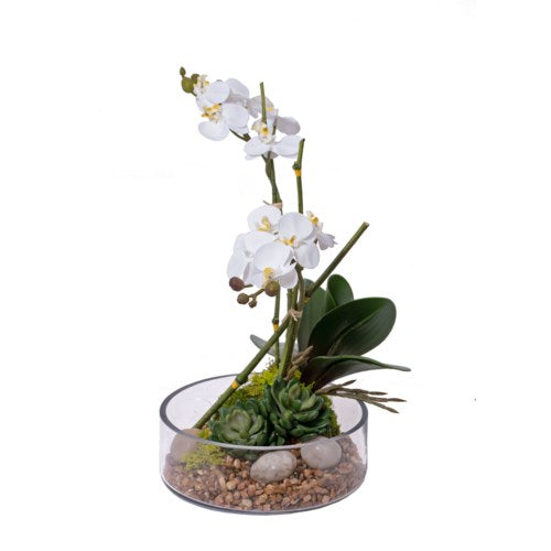 Orchids & Mood Moss in a Glass Bowl