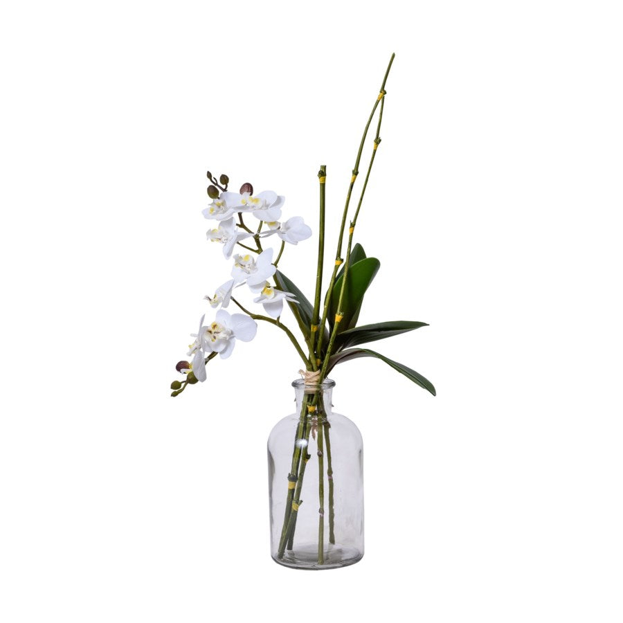 Glass Jar with White Orchids